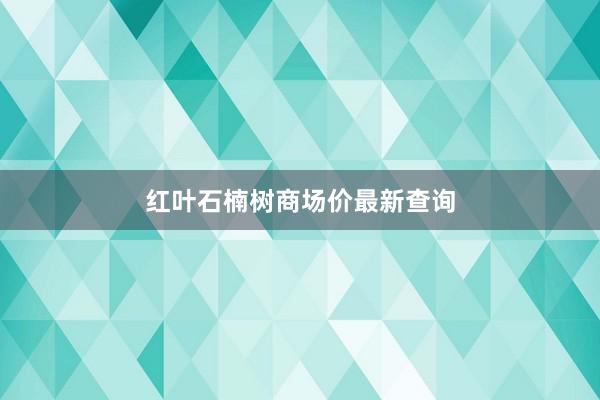 红叶石楠树商场价最新查询