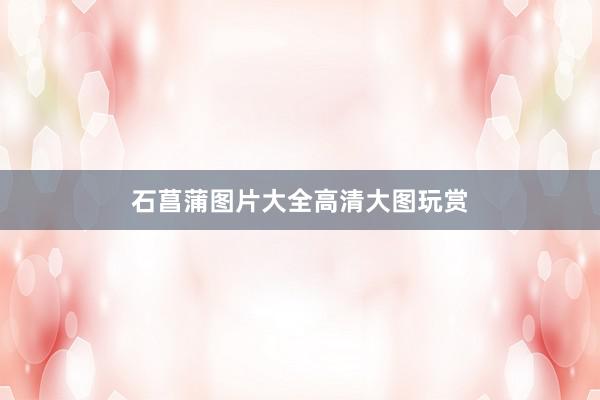 石菖蒲图片大全高清大图玩赏