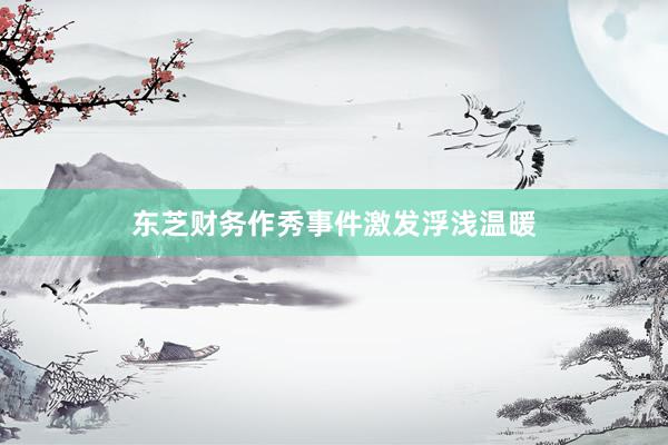 东芝财务作秀事件激发浮浅温暖
